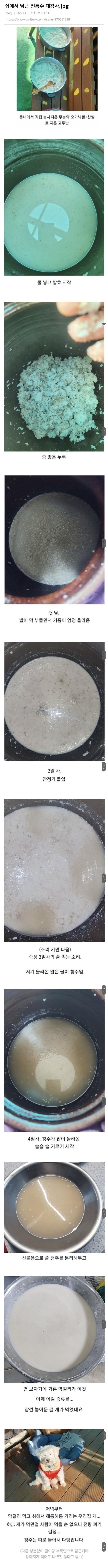 집에서 담근 전통주 대참사.jpg