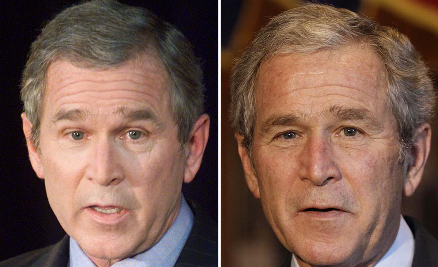 bush.jpg