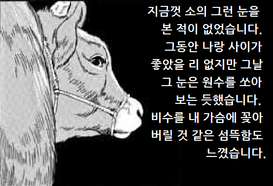 ㄴㅇㄹ허호.png