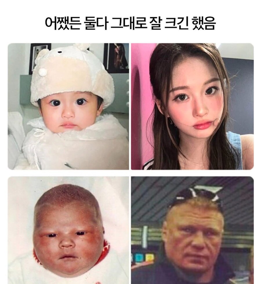 img/25/04/17/196427dd4a780077.png