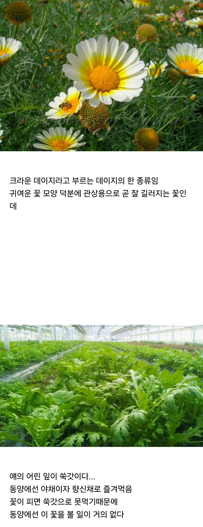 img/25/04/22/19659542c2230aefc.jpg