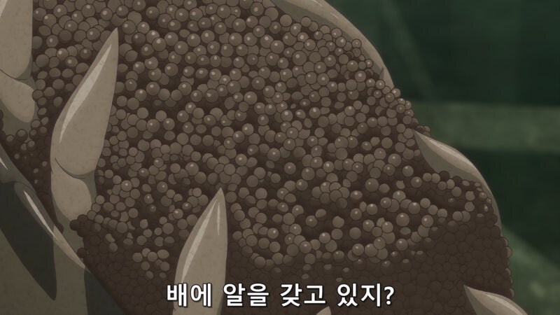 img/25/04/22/1965d0eda4555a349.jpg