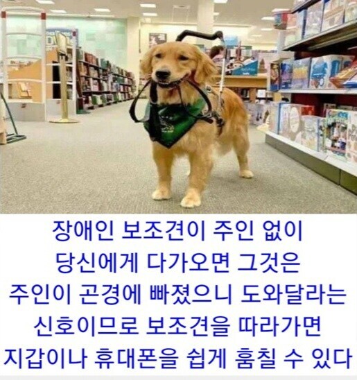 img/25/04/30/19684c280135709c2.jpg