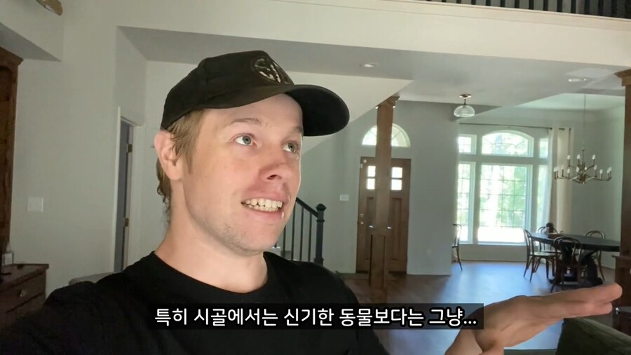 올리버쌤 앞마당에 나타난 동물_7.jpg