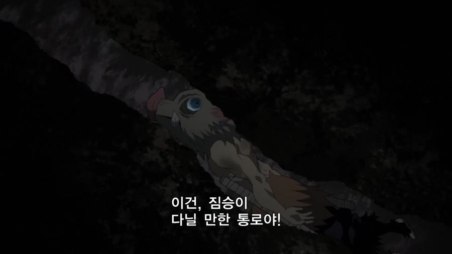 1652843987523.png