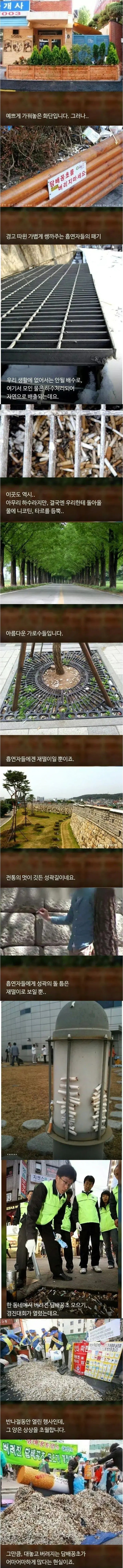 181d08de958567384.jpg