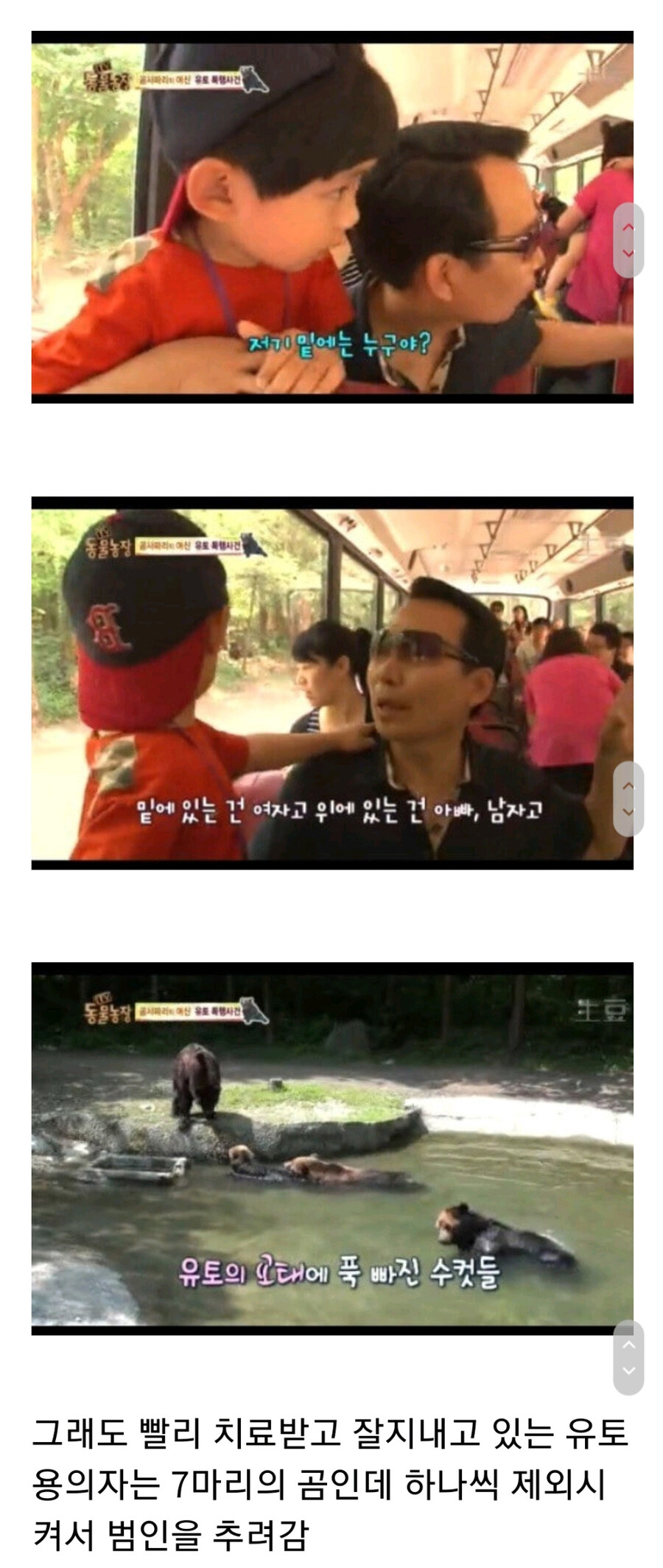 누군가에게 계속 공격받는 암컷 곰.jpg_6.jpg
