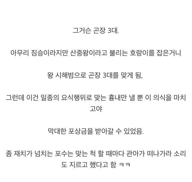 조선시대 때 호랑이 잡으면 처벌 받았다는 설의 진실_3.jpg