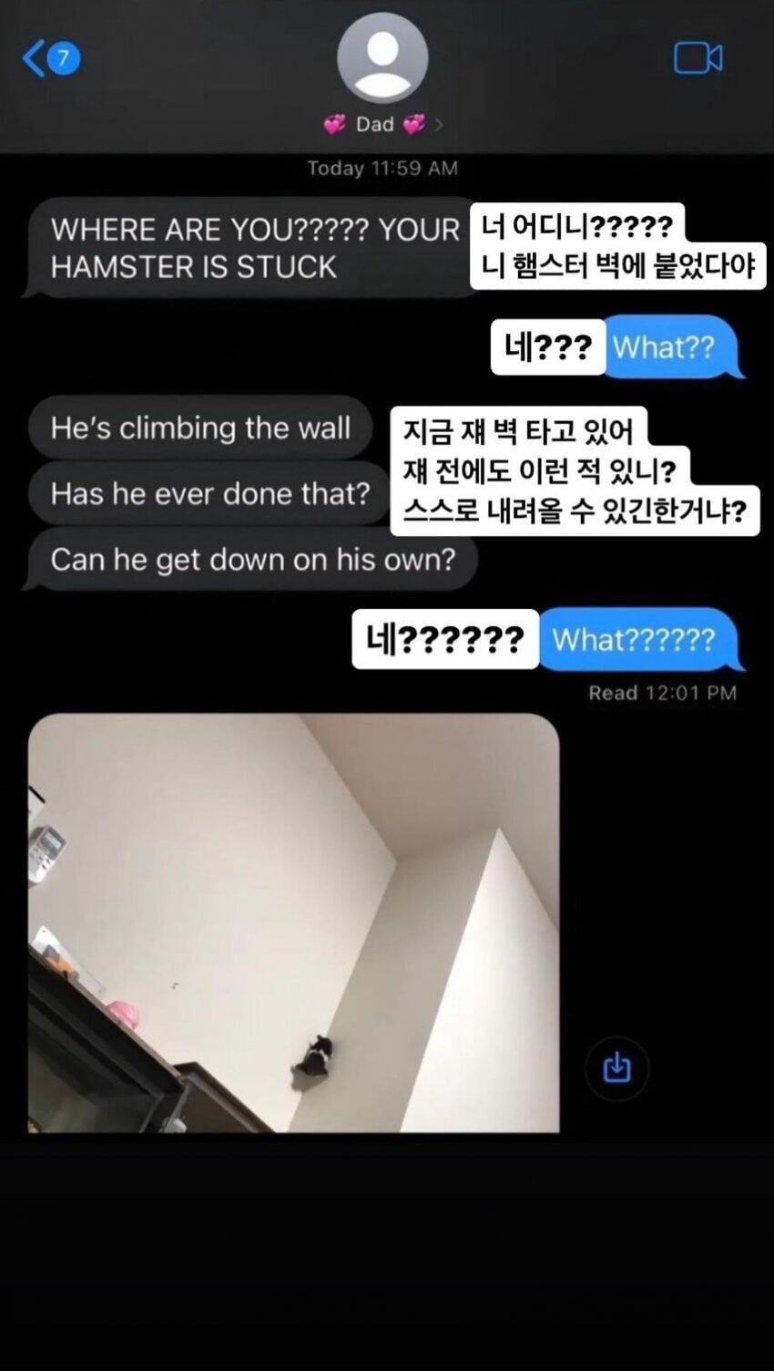 햄스터때문에 당황한 아버지.jpg_1.jpg