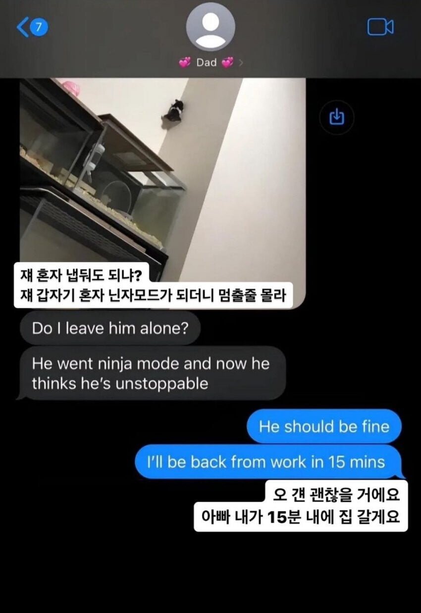 햄스터때문에 당황한 아버지.jpg_2.jpg