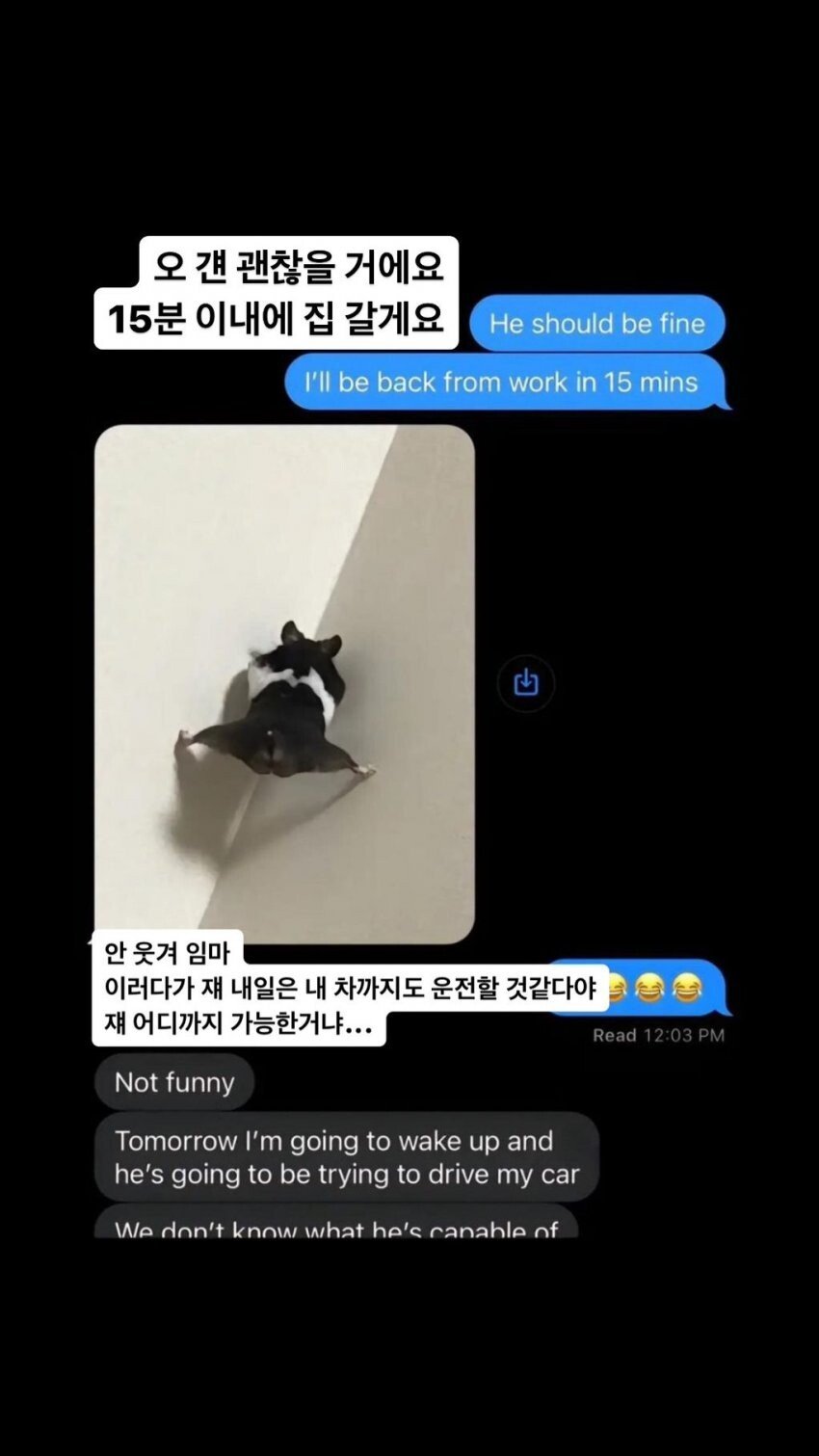 햄스터때문에 당황한 아버지.jpg_3.jpg