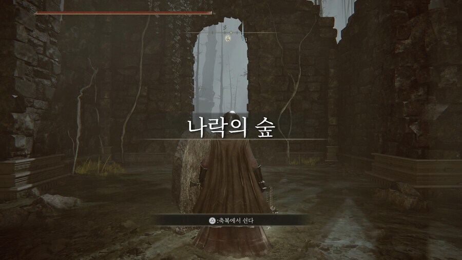 엘든링 DLC의 모든 단점을 집약시켰던 지역_1.jpg