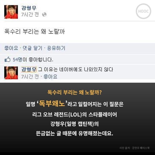 독수리 부리는 왜 노란색일까.jpg_2.jpg