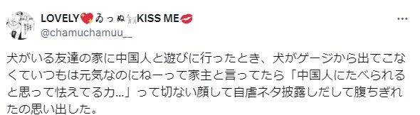 중국인 자학개그.jpg_1.png