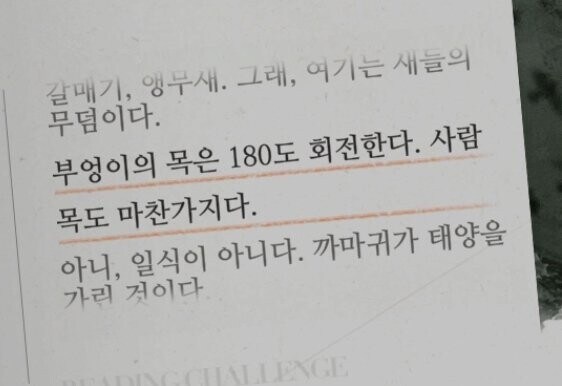 부엉이 목 회전은 사실 별반 신기한 것도 아님_1.png