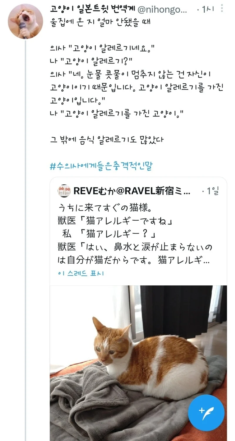 안전한 집으로 입양 온 고양이가 매일같이 눈물을 흘리는 이유 gif_1.webp