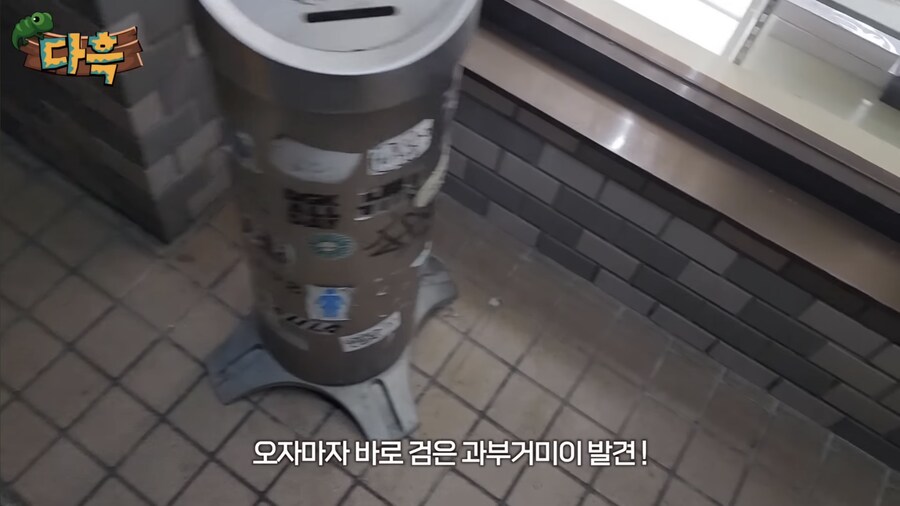 의외로 일본에 완전 정착해버린 외래 동물_2.jpg