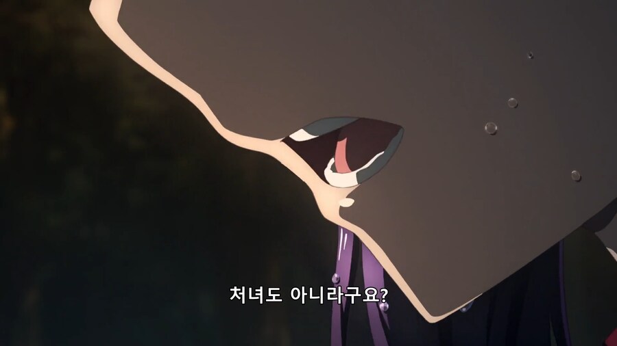 페이트의 과거와 달라진 팬들의 평가류 甲_13.png