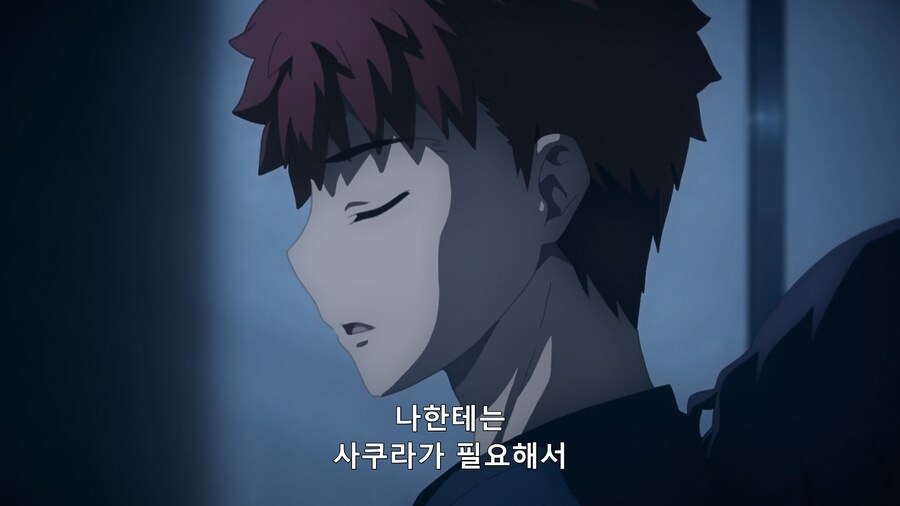 페이트의 과거와 달라진 팬들의 평가류 甲_35.png