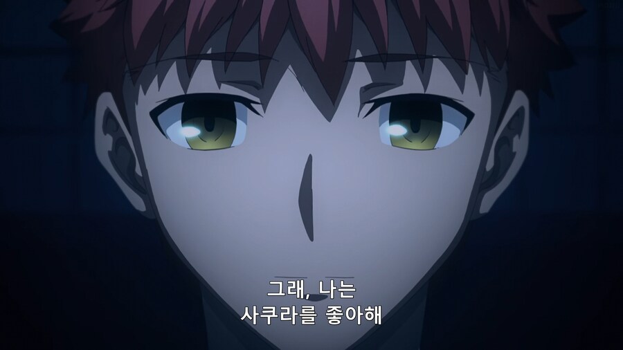 페이트의 과거와 달라진 팬들의 평가류 甲_41.png