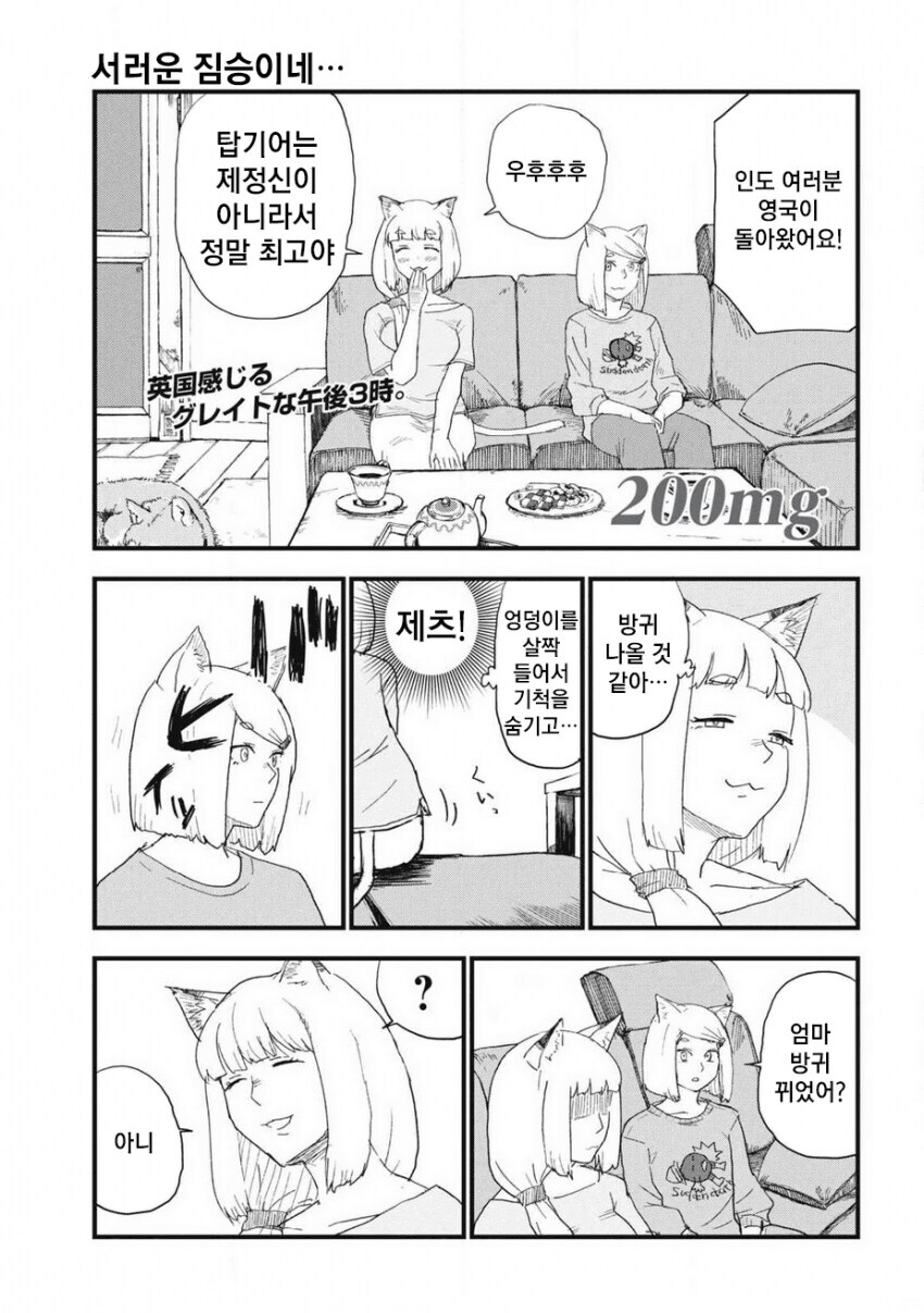 서러운 짐승.jpg_1.jpg