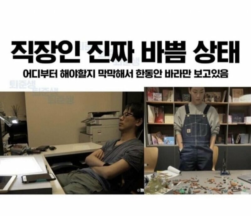 직장인 가짜바쁨 vs 진짜바쁨_2.jpg