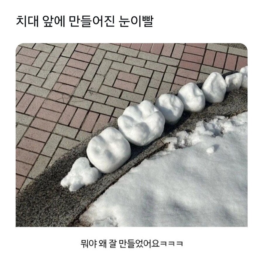 치과대학생 작품_1.jpg
