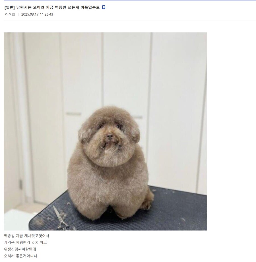 백종원 관련 축제에 대한 천재적인 역발상 ㅋㅋㅋ_1.png
