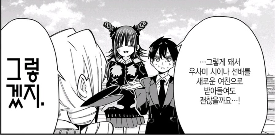 히로인이 20명 넘어가면 생기는 일_11.jpg