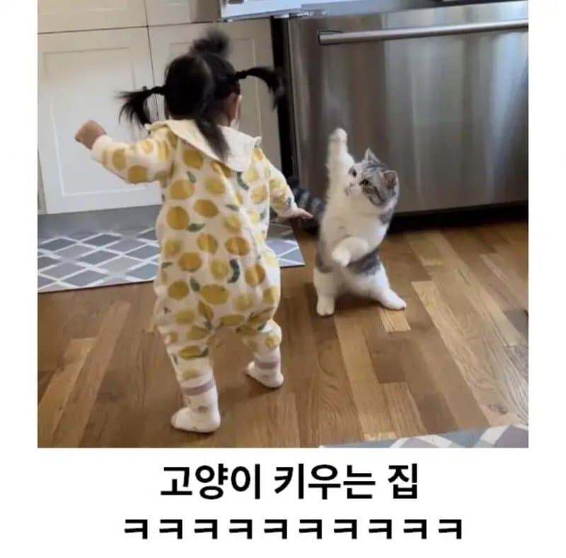 애완동물의 종류에 따라 달라지는 집안 분위기_2.jpg