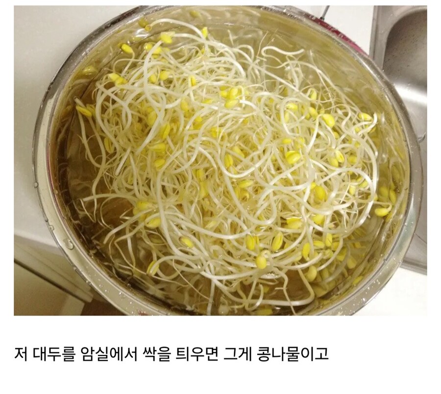 img/25/04/13/1962f28f3342e4e24.jpg