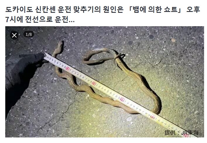 img/25/04/30/19686d223dc538f18.png