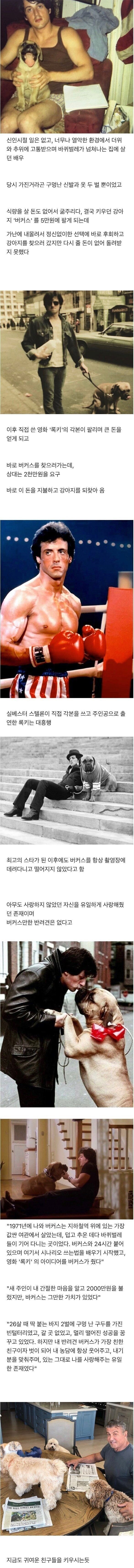 img/25/05/02/1968f053f1c590363.png