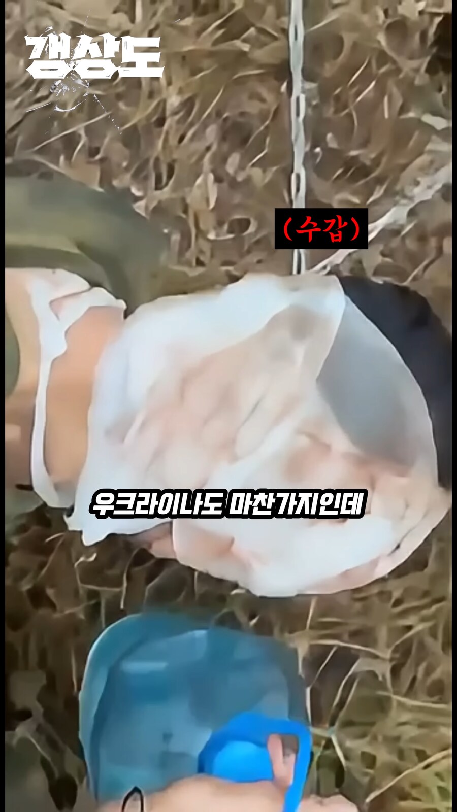 img/25/05/02/1968f9f470350195e.png