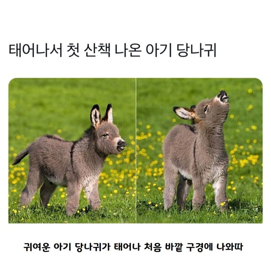 img/25/05/02/1968fbdd0565955d4.jpg