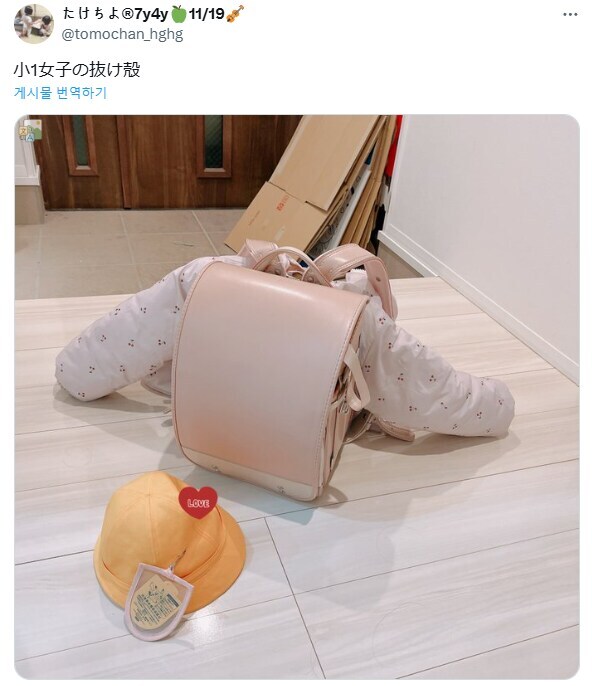 img/25/05/02/1969087fa6b8db08.jpg
