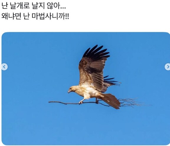 img/25/05/03/196943d9f208db08.png