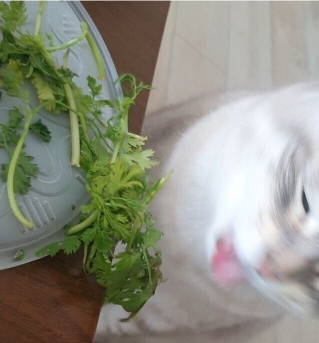 img/25/05/04/1969865b0da2f0c59.jpg