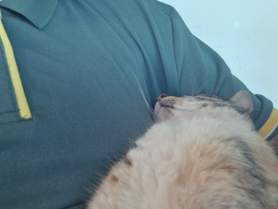 img/25/05/05/1969df85972516ea0.jpg
