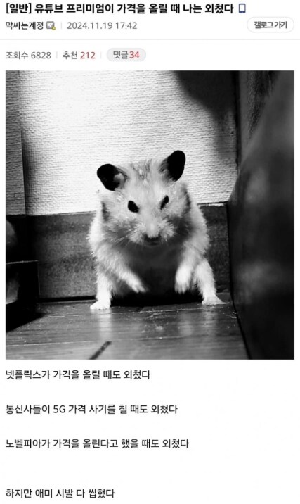 img/25/05/06/196a216bbbd140718.png