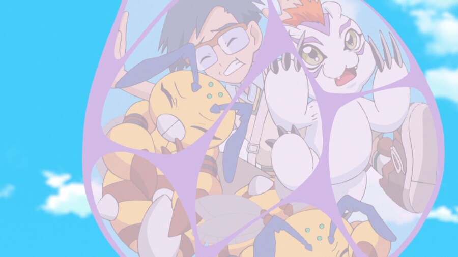 img/25/05/06/196a315b1ae7cbae.png