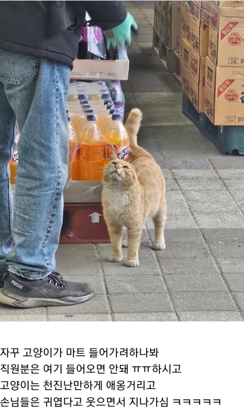img/25/05/06/196a3427a1f51a003.png