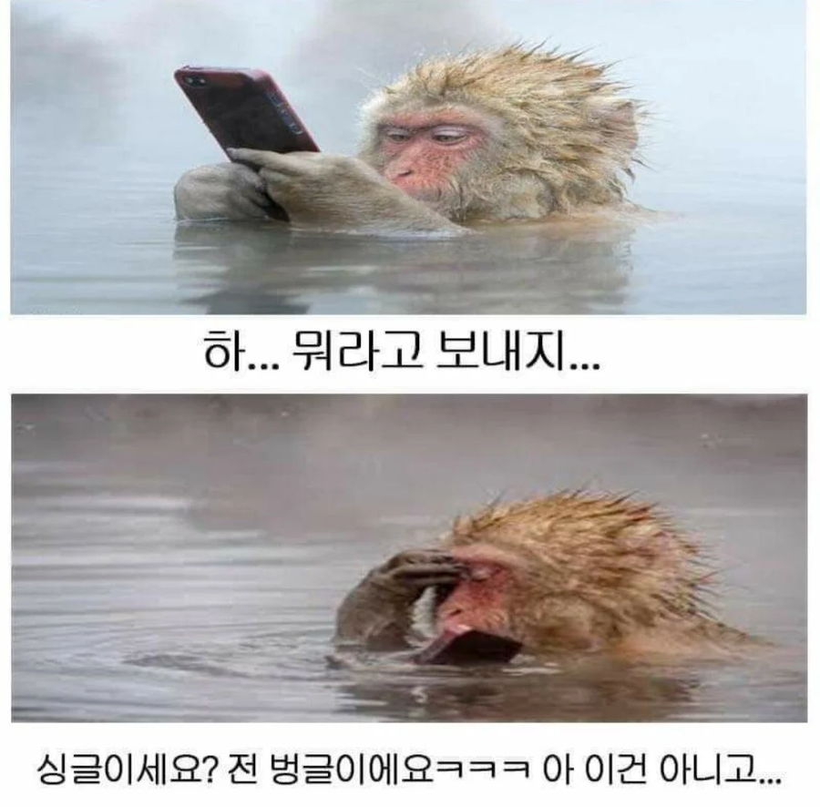 img/25/05/06/196a3854aac522cff.webp