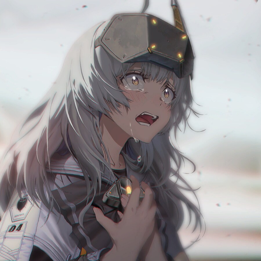 img/25/05/06/196a40d08de223b96.png