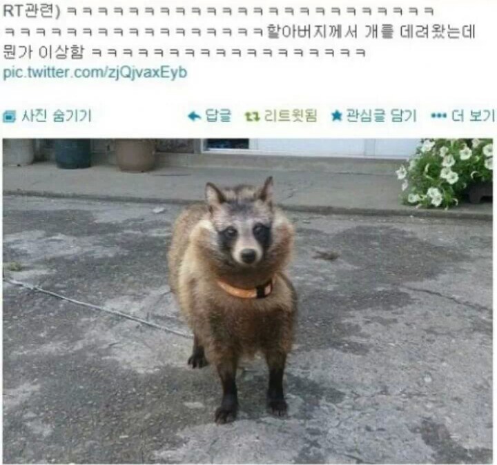img/25/05/06/196a47076c65955d4.png