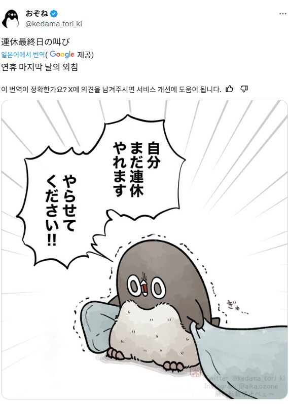 img/25/05/06/196a4ee1b7151a42.png