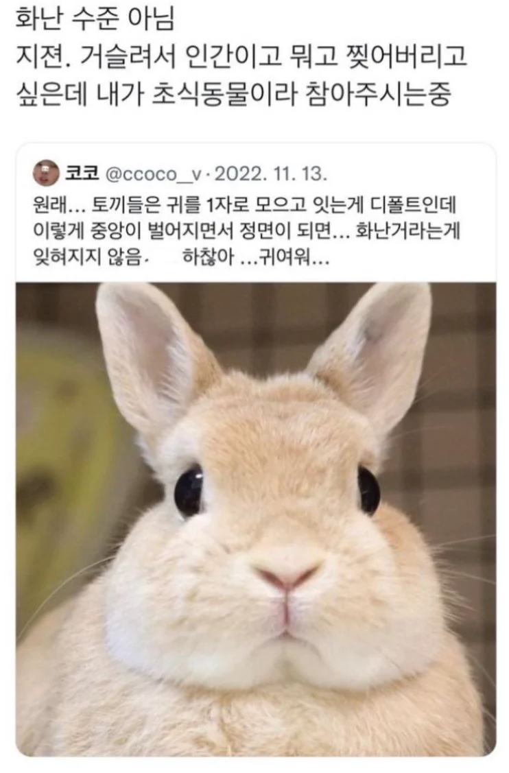 img/25/05/08/196ae33500f2d6bd5.webp