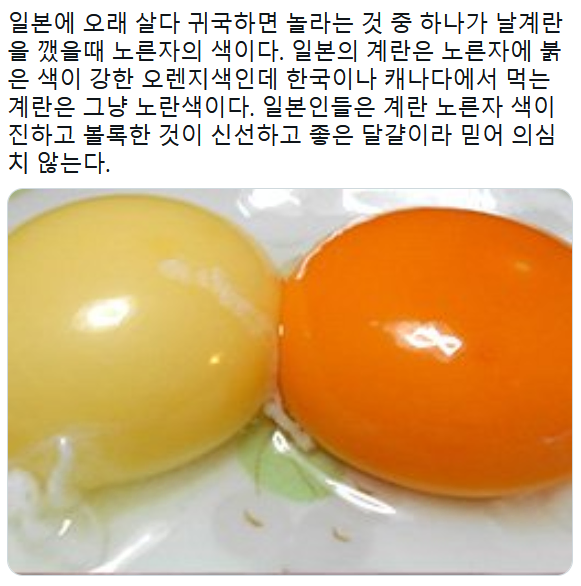 img/25/05/08/196affe1582587a22.webp