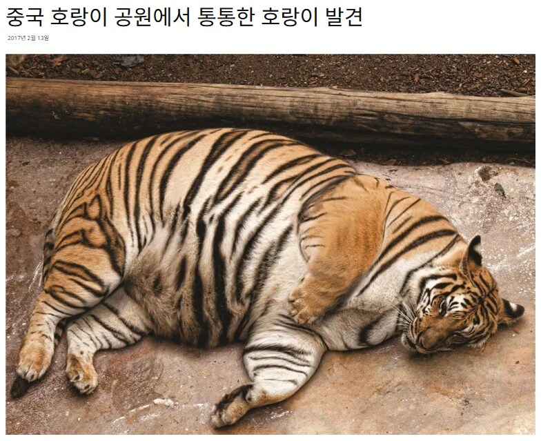 img/25/05/08/196b01cfc1b144a60.png