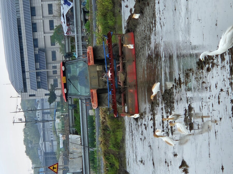 img/25/05/10/196b8ad236313f790.jpg